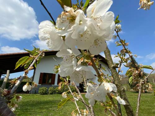 Agroturismo Etxaburu