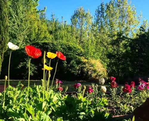 Villa Birches Luxury Spa Chalets