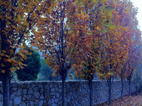 Villa Birches Luxury Spa Chalets