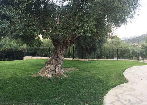 Villa Casa Rural La Bodega