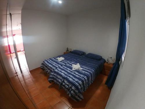 Paradise Apartament