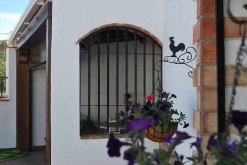 Cueva La Ermita