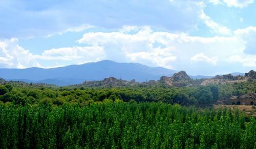 Cuevas El Cortijo Gachas