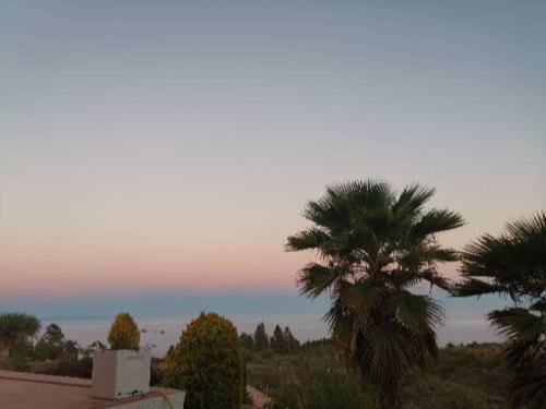 Finca Dulce