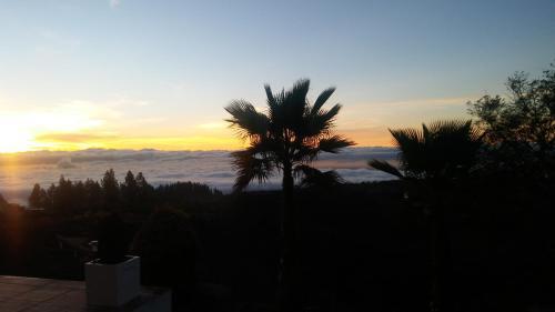 Finca Dulce