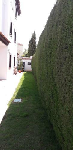 La Casa De Sevilla
