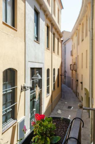 Rosa Street Apartment