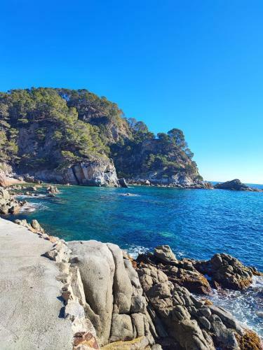 Apartamento En Centro de Tossa de Mar Con Parking Y Piscina