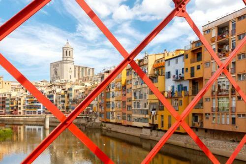 Centrico Y Acogedor Apartamento
