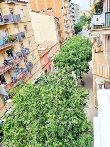 Centrico Y Acogedor Apartamento