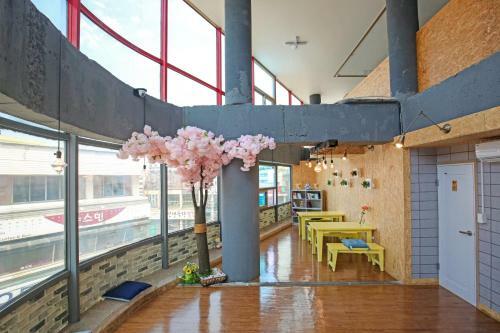 Hostal Dashim