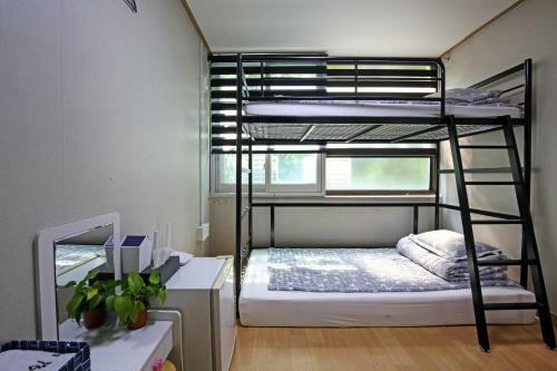 Hostal Dashim