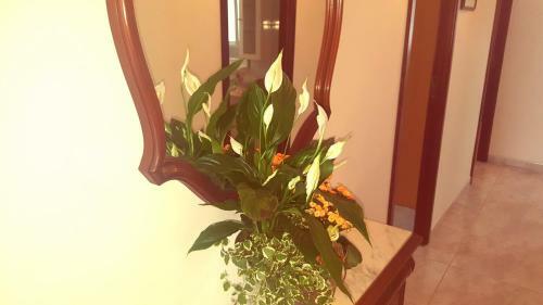 Apartamento A Canteira