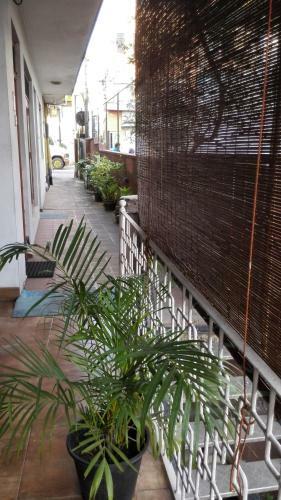 Hostal Hotel 100