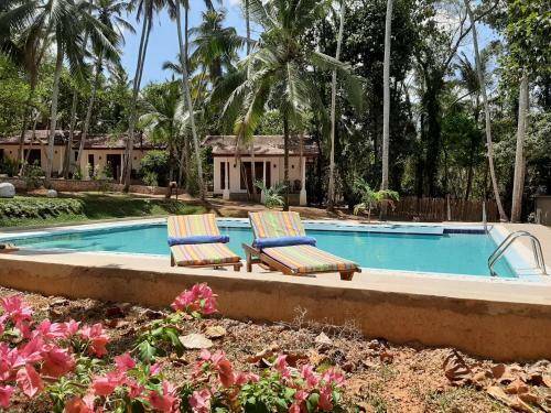 Hotel Jackland Holiday Cabanas