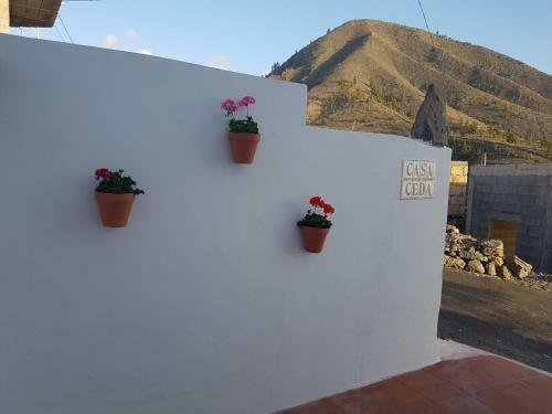 Ceda
