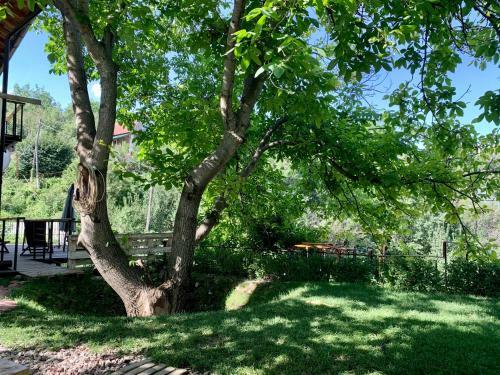 Villa Alexa Mountain House