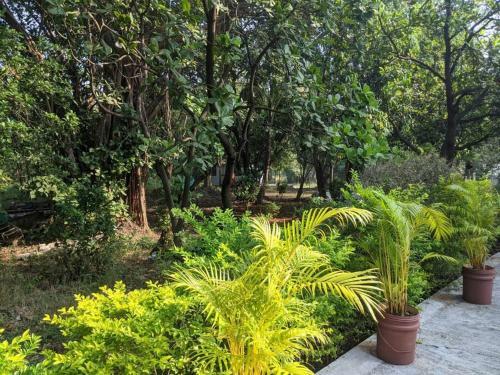 Villa Ivy Maitri Farm 3 Bhk With Private Pool - Badlapur