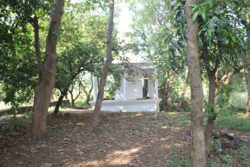 Villa Ivy Maitri Farm 3 Bhk With Private Pool - Badlapur
