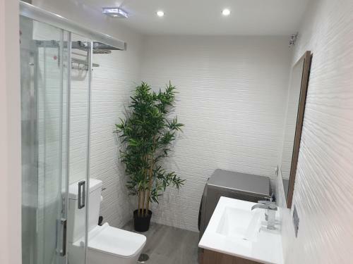 Apartamento Las Palmeras