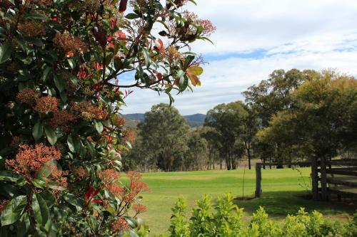 Hostal Elfin Hill Country Accommodation