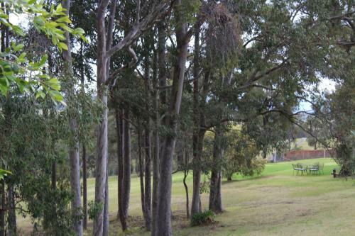 Hostal Elfin Hill Country Accommodation
