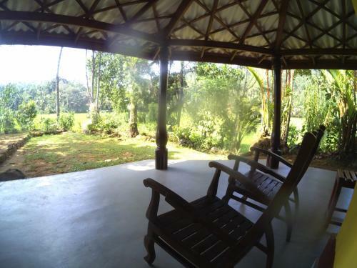 Traveller's Choice Sinharaja