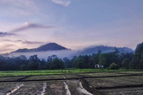 Traveller's Choice Sinharaja
