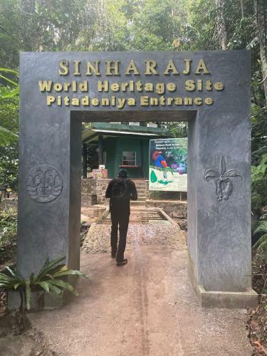 Traveller's Choice Sinharaja