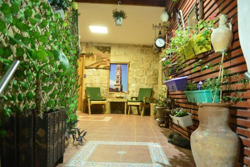 Shafika House