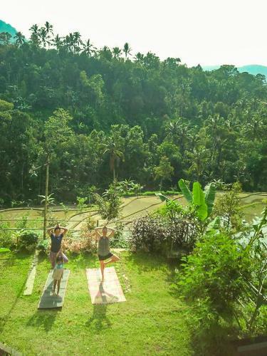 Buda's Homestay Lemukih