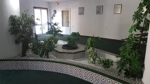 Apartamento Alessandra