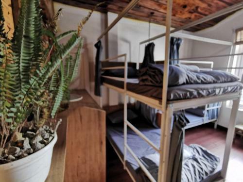 Bed & Breakfast Rom Homestay