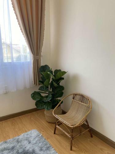 Santolina Homestay