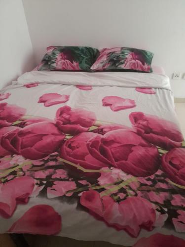 Apartamento Sea View