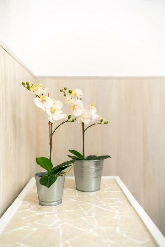 Apartamento Frascuelo