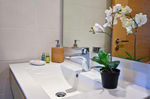 Apartamento Springfield Suites