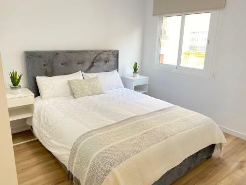 Apartamentos Palangreros