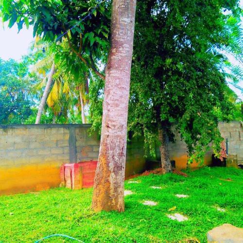 Bed & Breakfast Hiri Moon Villa