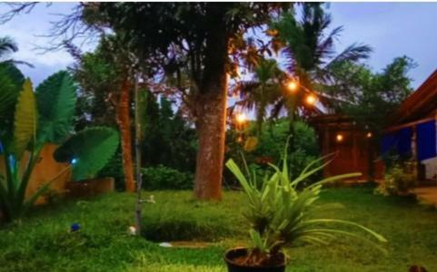 Bed & Breakfast Hiri Moon Villa