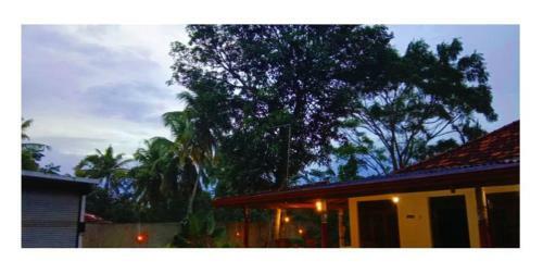 Bed & Breakfast Hiri Moon Villa