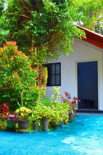 Bed & Breakfast Green Wall House