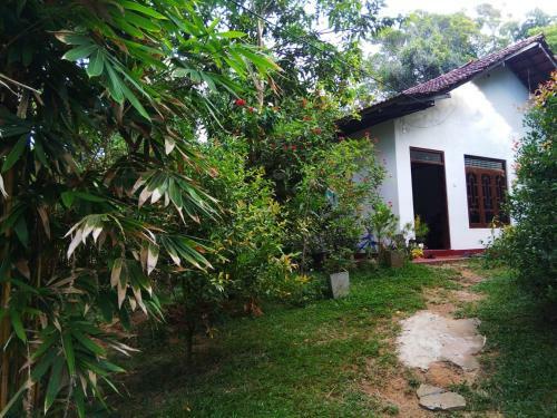 Bed & Breakfast Bamboo Home Stay Hiriketiya