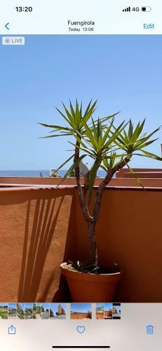 Penthouse Beach Apartment