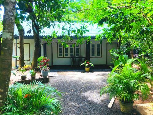 Apartamento Drongo Place