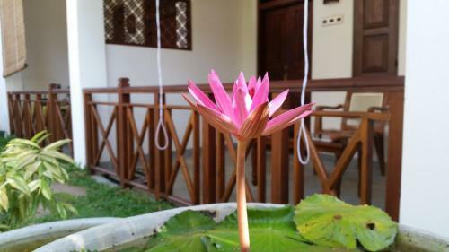 The Ed Corner - Hiriketiya