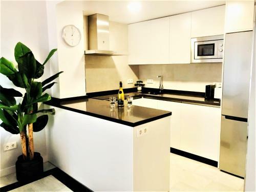 Apartamento Primera L�nea Playa Fuengirola Sofia 3d