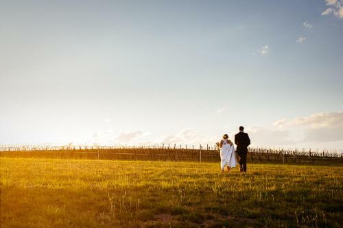 Lodge Hanging Tree Wines