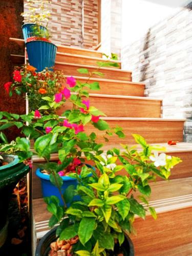 Bhagya Homestay