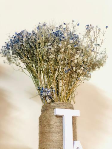 Apartamento Chloe's_house